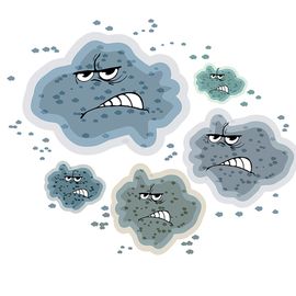 Mold Inspection Emerald Coast